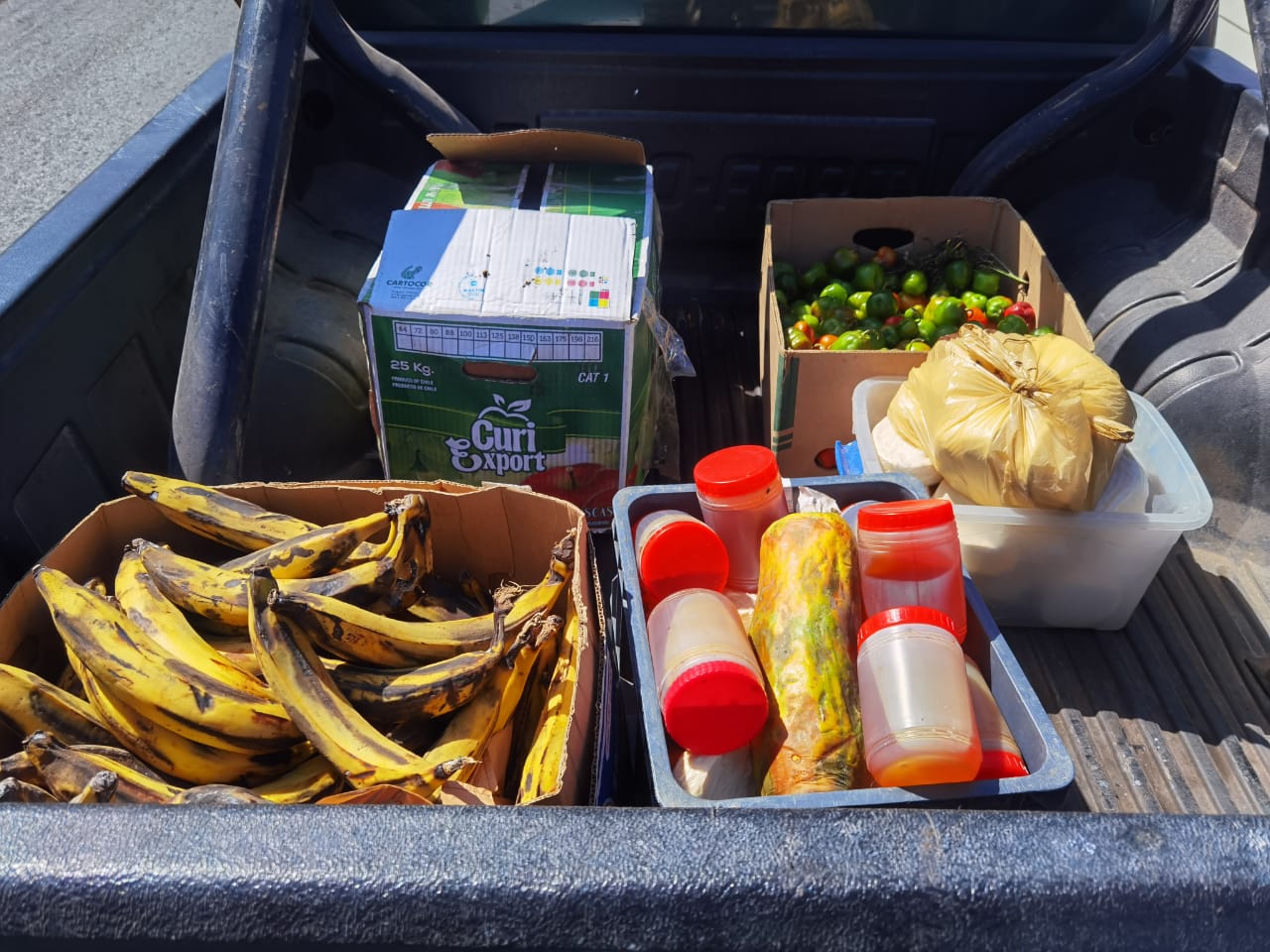 SAG decomisa 300 kilos de productos agropecuarios clandestinos vendidos en la vía pública