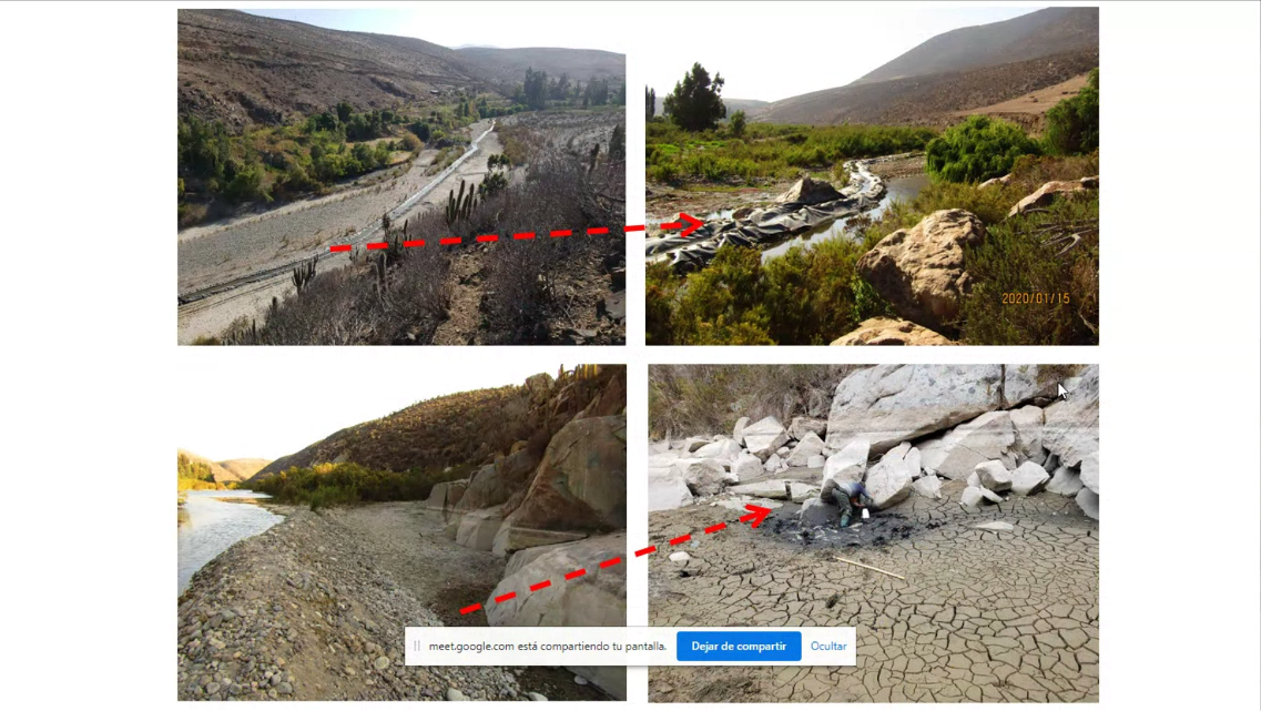 Cores conocieron propuesta del IFOP que apunta a  la  preservación  del  camarón de río  en Arica  y  Parinacota