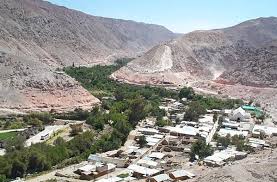 Cores de Arica y Parinacota: «El mundo rural siempre ha formado  parte de nuestro quehacer»