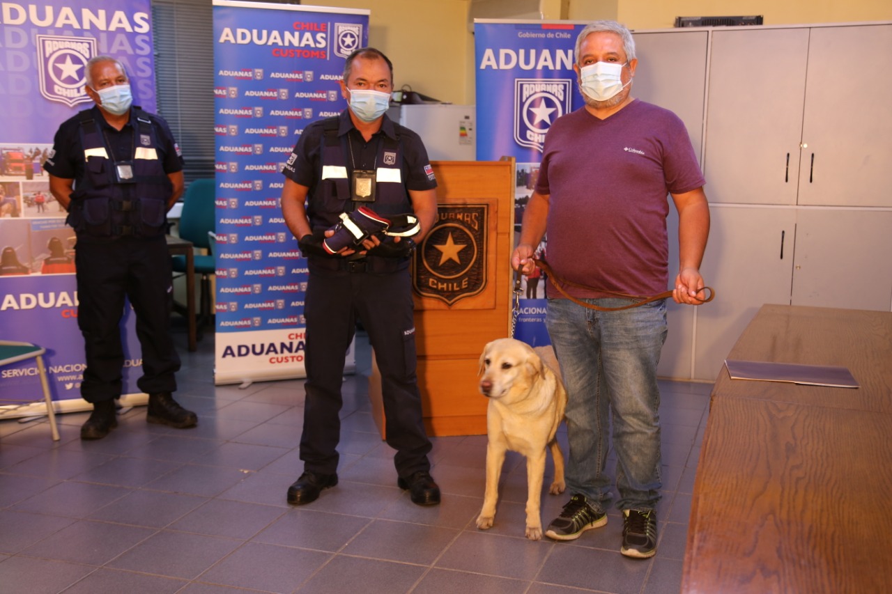 Can detectora “Jade” tiene una nueva familia