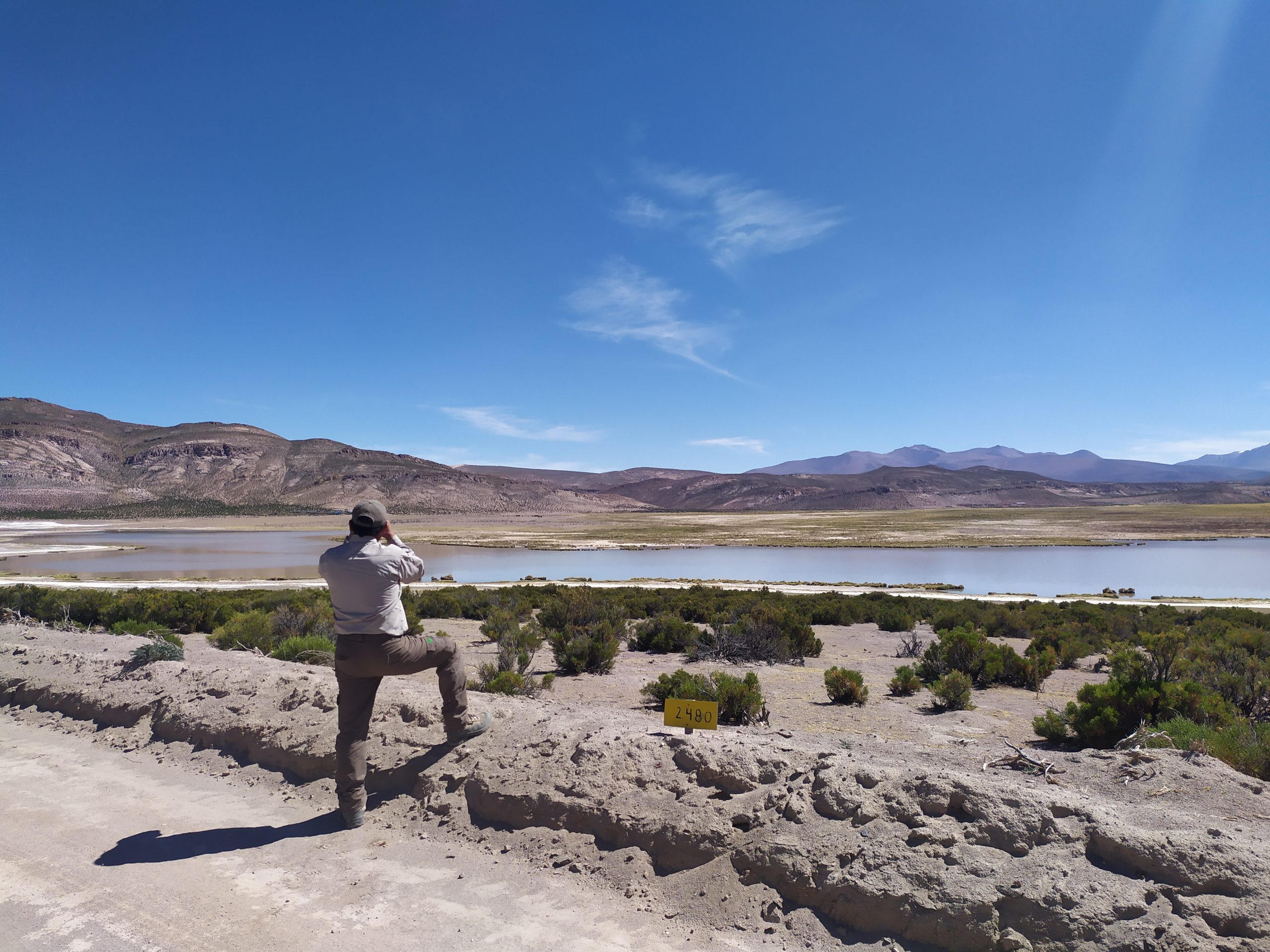 Mejoran gestión de patrullajes en áreas protegidas de Tarapacá con el uso de moderna aplicación