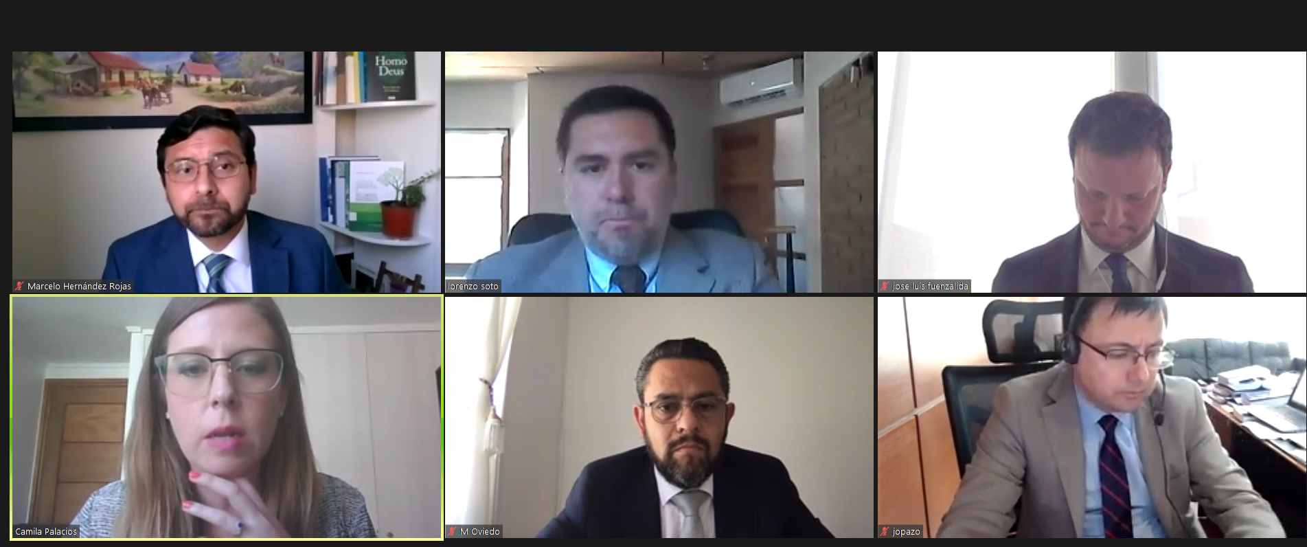 Alegatos en causa por reclamación contra las adecuaciones del proyecto minero Cerro Colorado