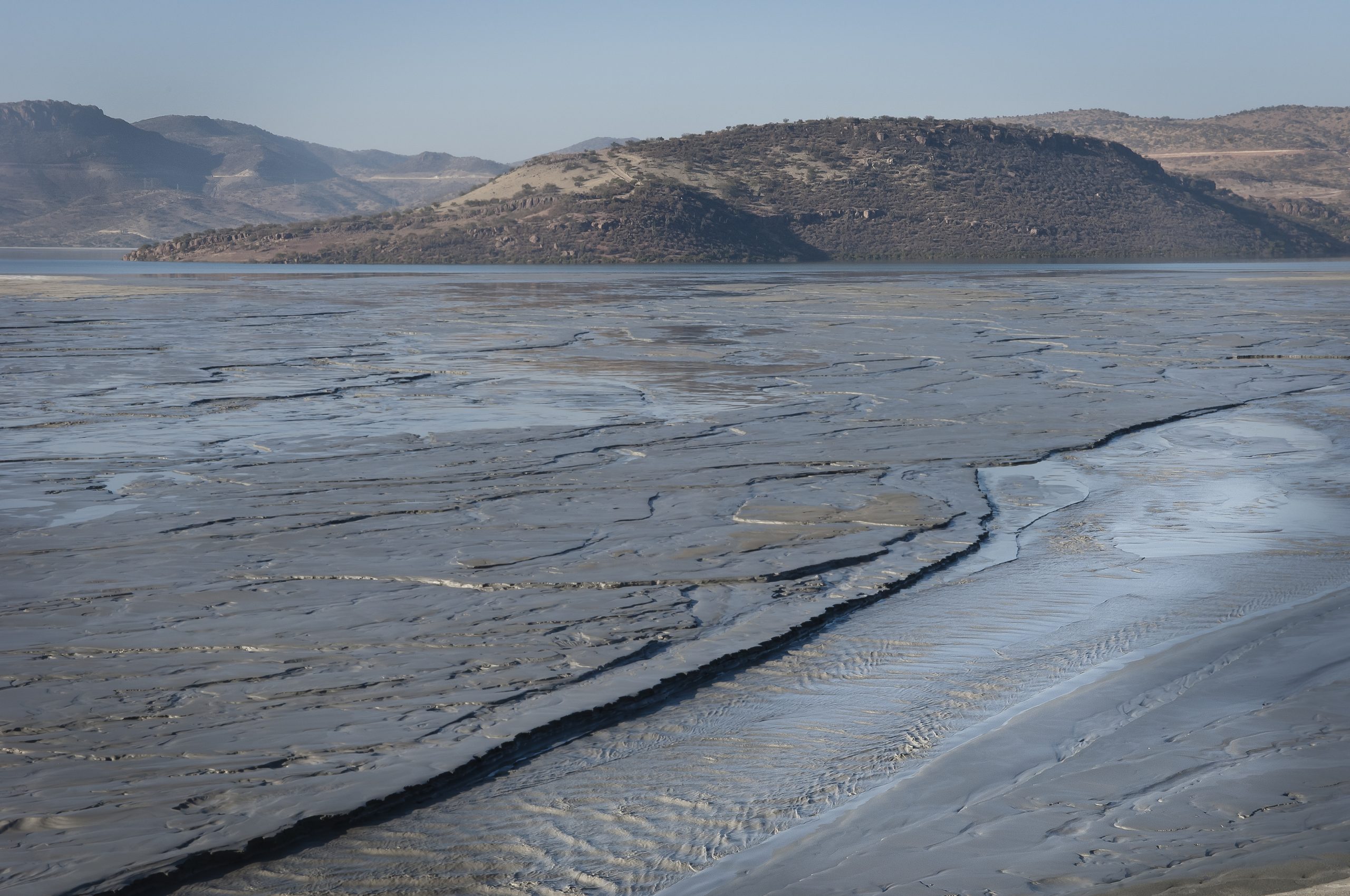 Foro Paste 2020: multinacional Arcadis participa en el debate sobre relaves mineros