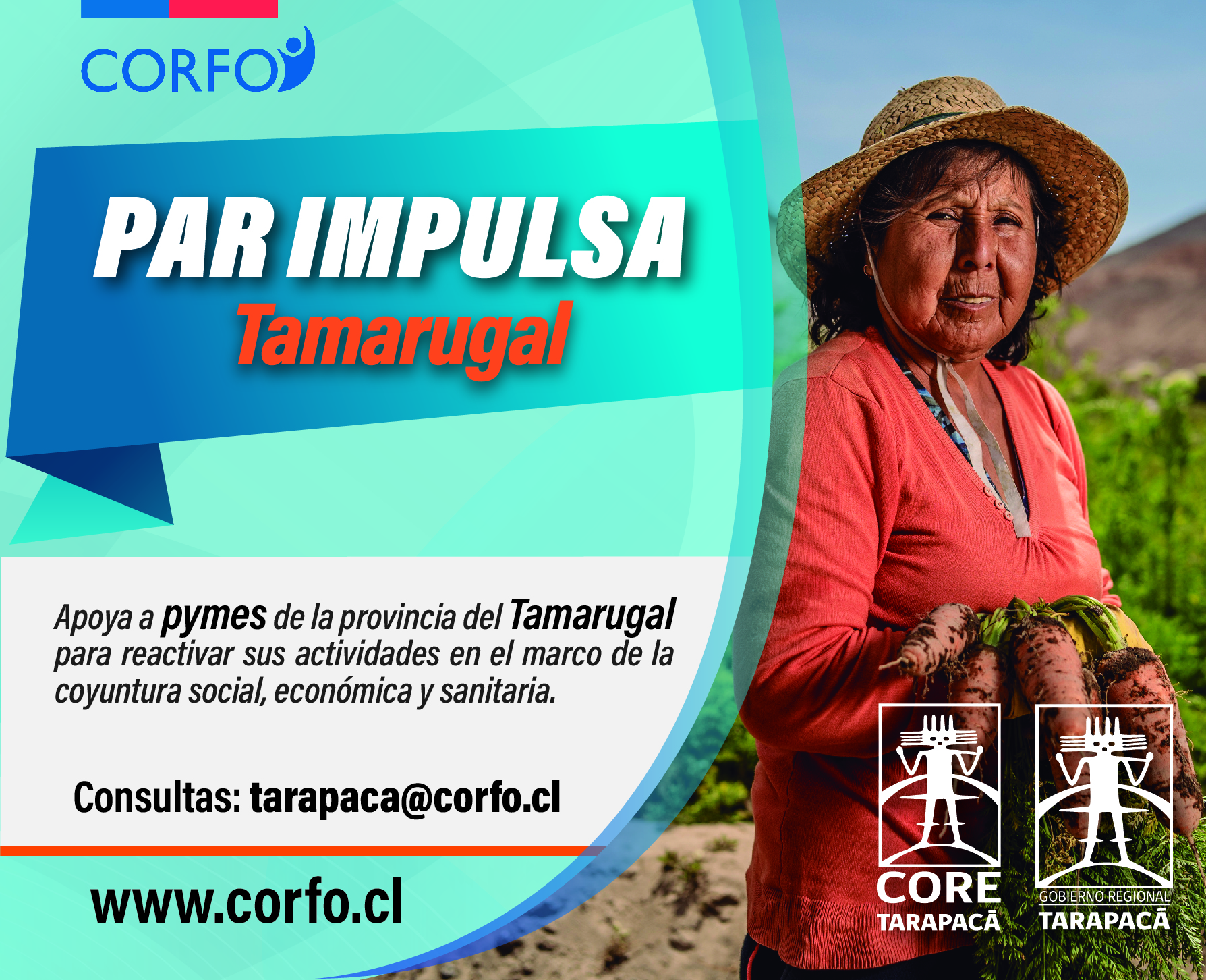 CORFO Tarapacá lanza nuevo programa de $950 millones para apoyar 280 mipymes