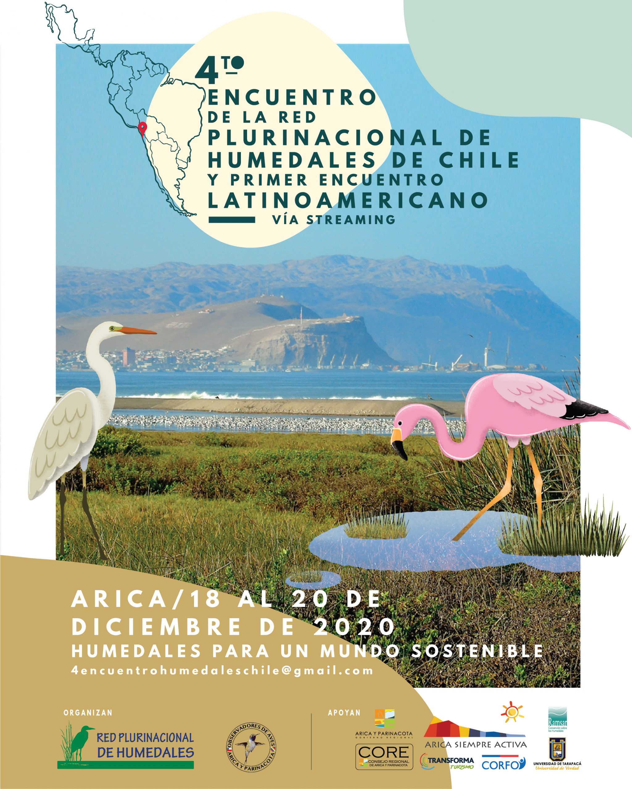 Avistadores de aves se reunirán online en nuevo encuentro internacional