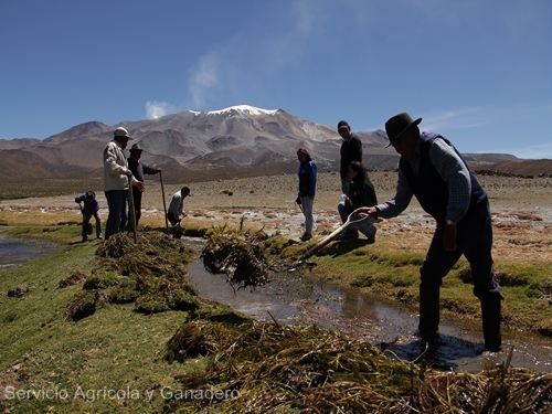 SAG Tarapacá reitera llamado a postular al Programa de Recuperación de Suelos