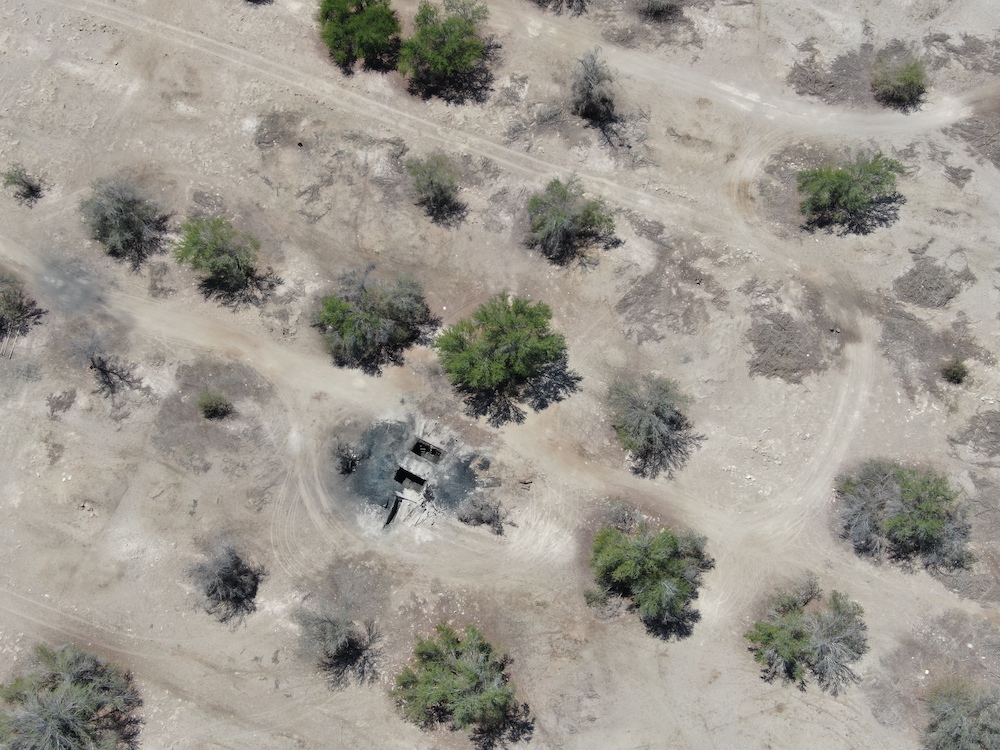 Hallan a sujeto realizando tala ilegal de tamarugos para fabricar carbón