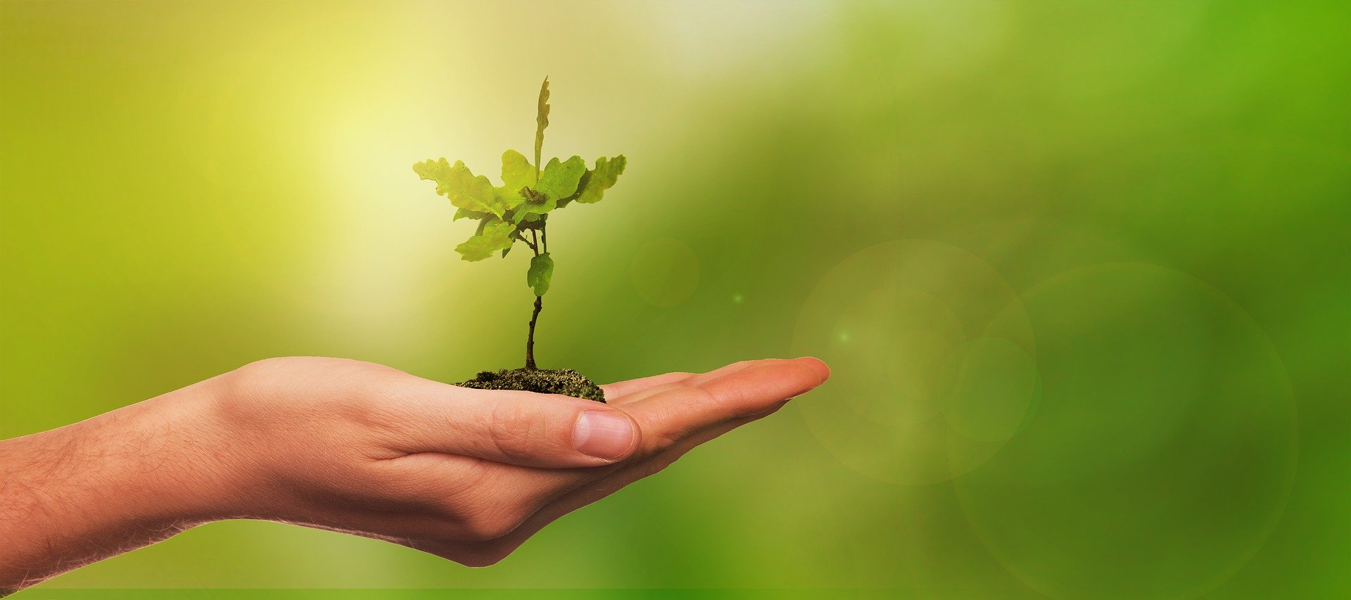 El agro apuesta por una metodología de anticipación de futuro para enfrentar los desafíos
