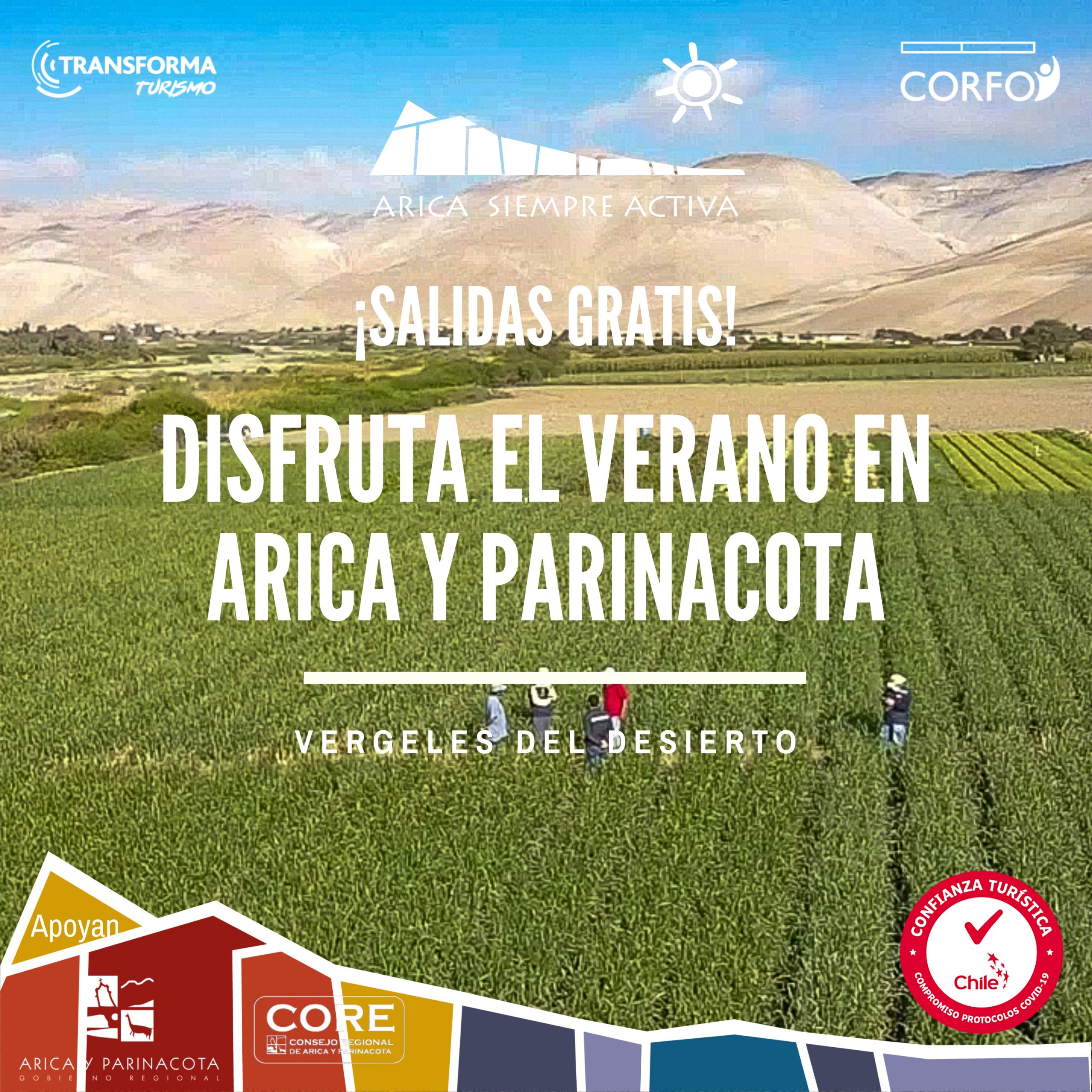“Arica Siempre Activa” te invita a visitar tu región este verano