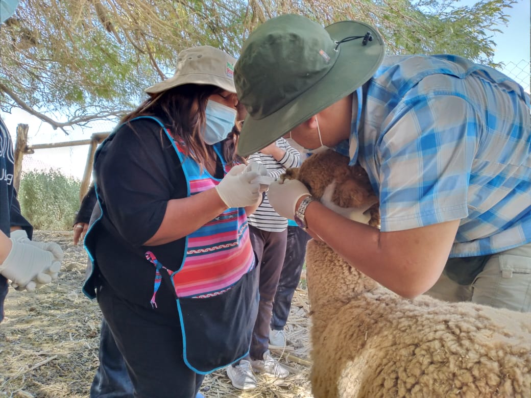 PRODEMU amplía convocatoria para postular al programa “Mujeres Rurales” en Tarapacá