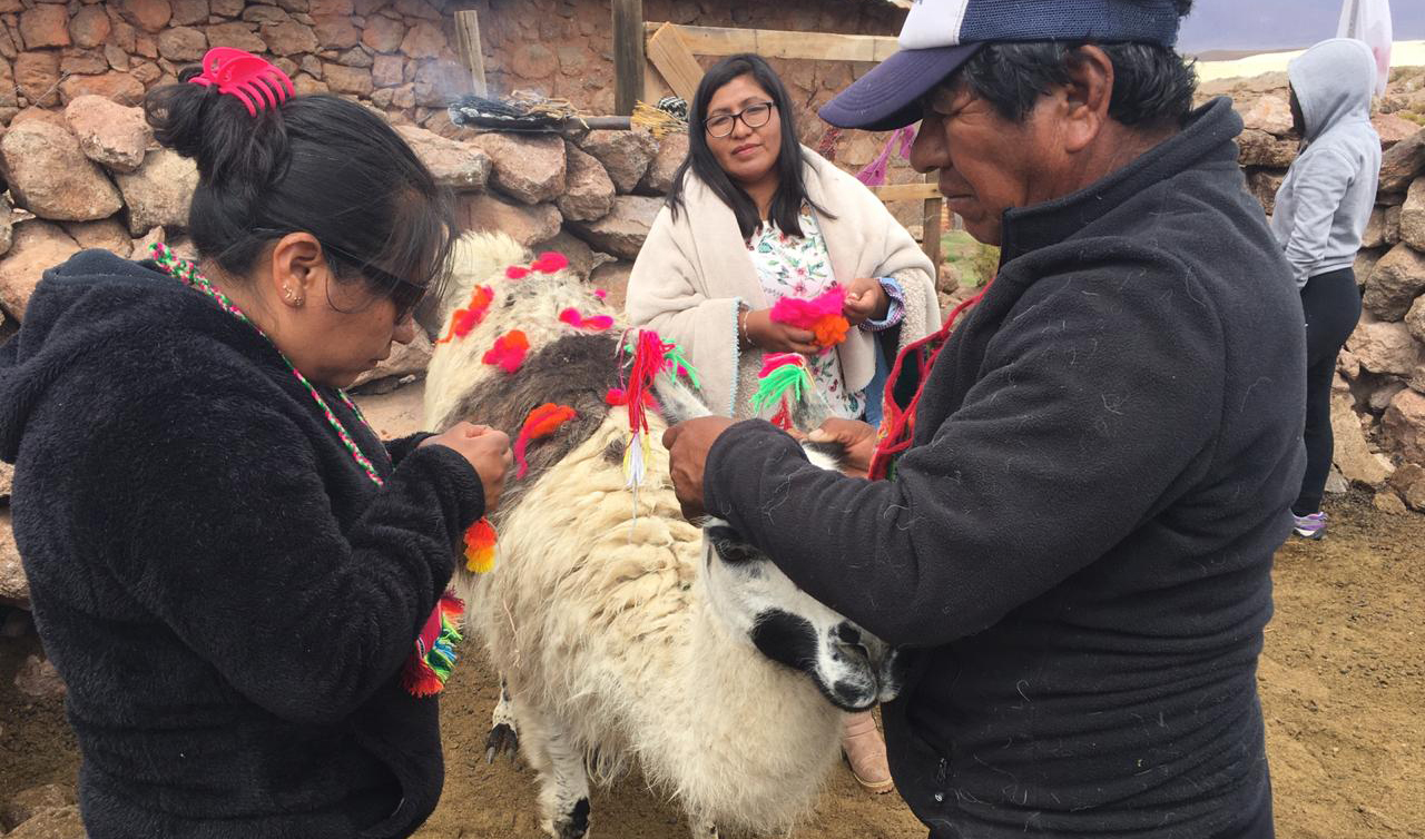 Comunidades quechuas: “La Plurinacionalidad sin contenido es una fórmula vacía que no nos sirve”