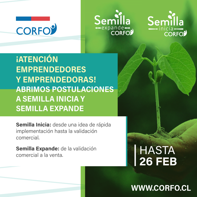 Programas Semilla de Corfo abren postulaciones con foco en la reactivación