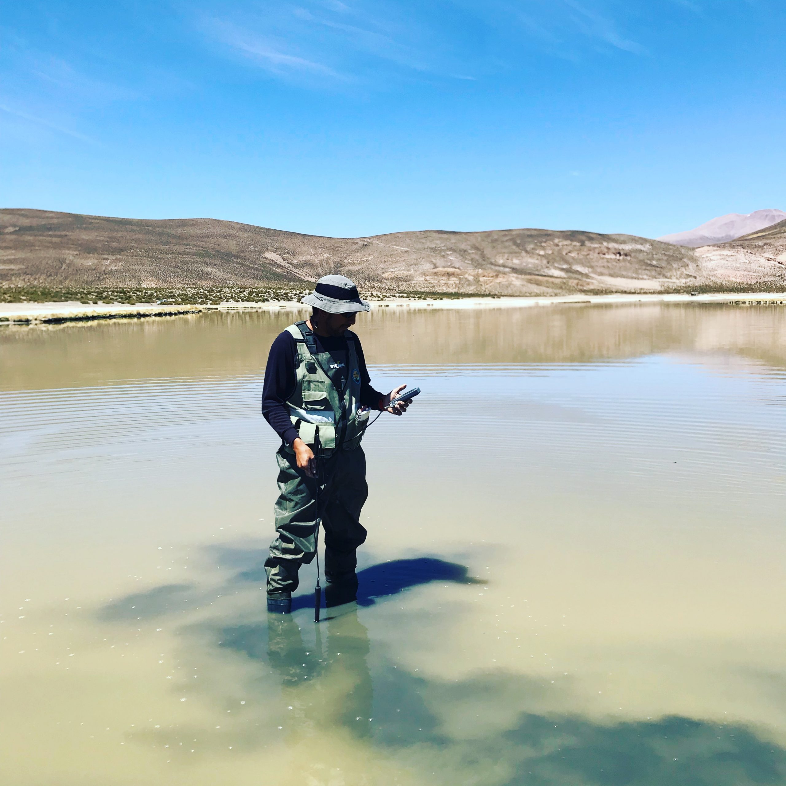 CONAF Tarapacá: Proyecto busca crear sistema de monitoreo para mejorar gestión de humedales