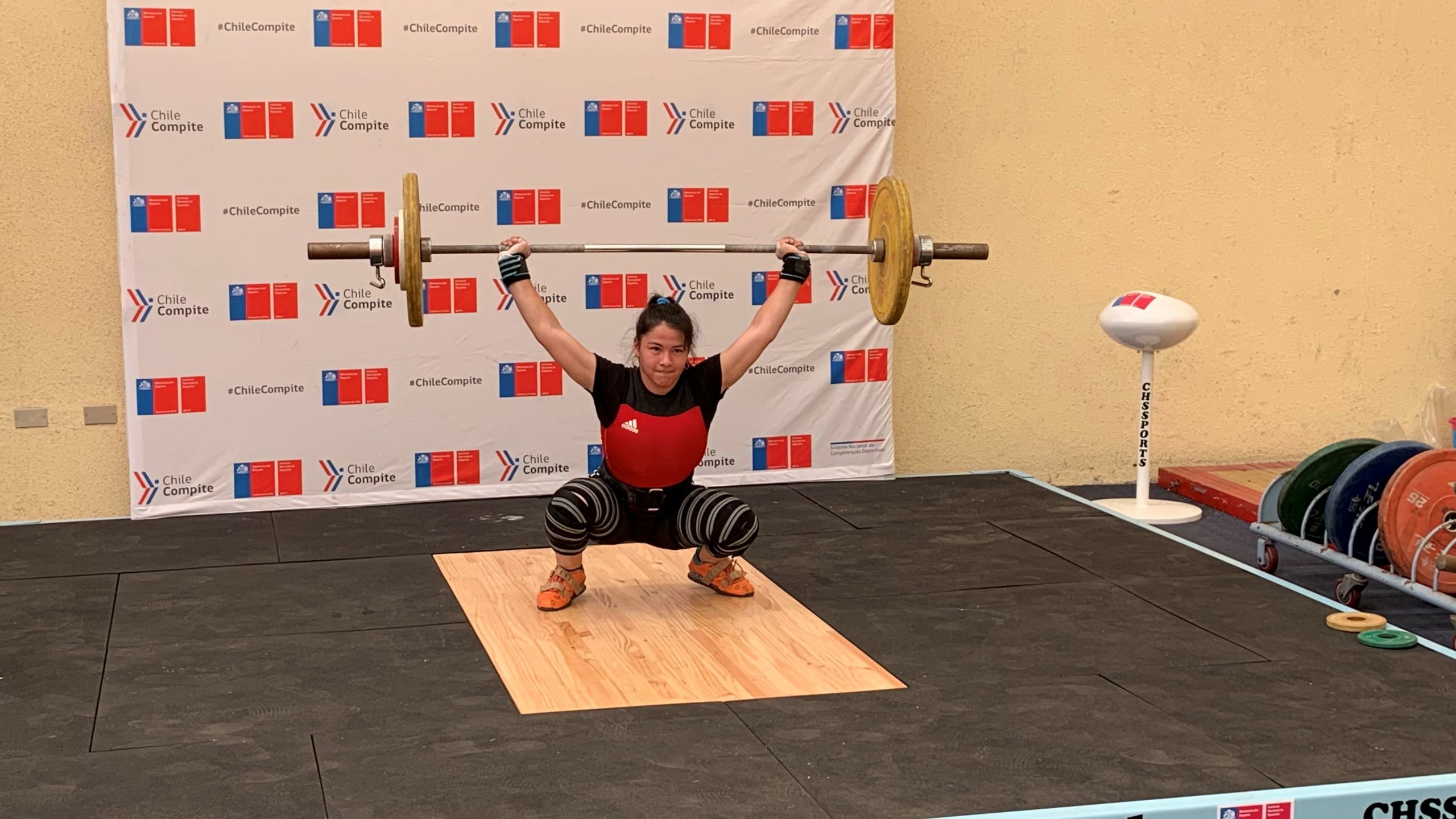 Pesistas Promesas Chile destacan en Panamericano online