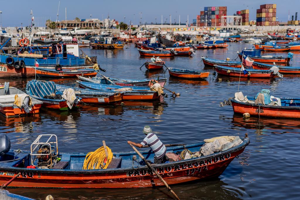 Resultados de proyectos que impulsan mayor aprovechamiento de recursos extraídos por pescadores de Caleta Riquelme