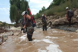 CARTA al Señor Presidente