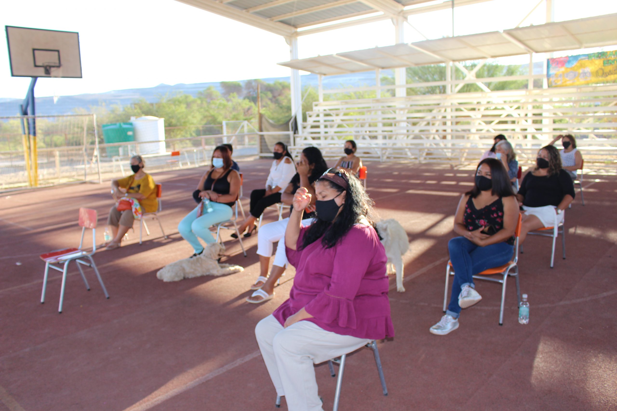 Mujeres de Quillagua aprenderán a producir lana natural para rescatar sus raíces a través del arte textil
