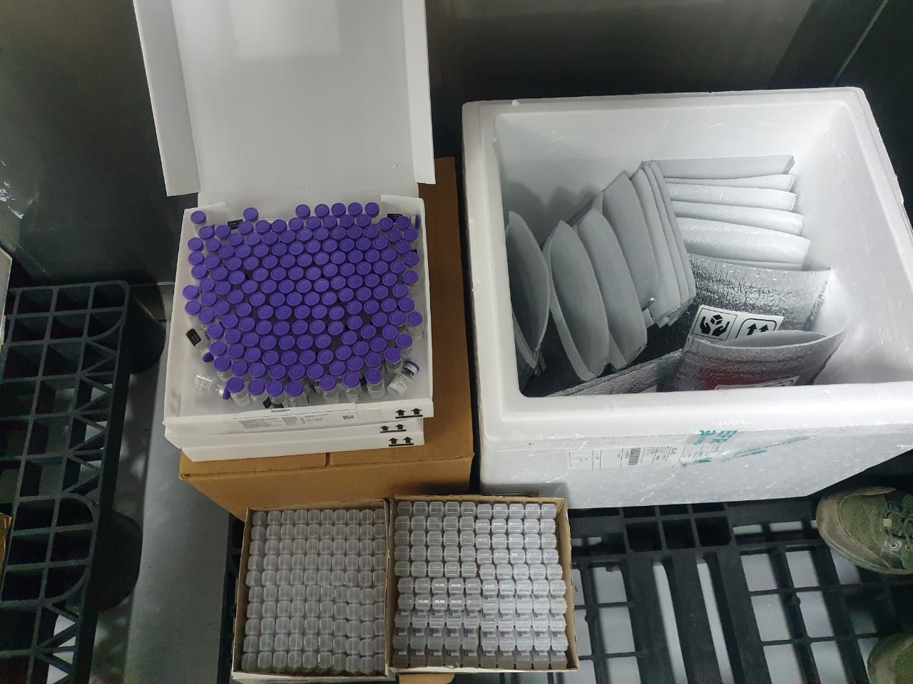 Nueva remesa de vacunas Pfizer llega a la región de Tarapacá