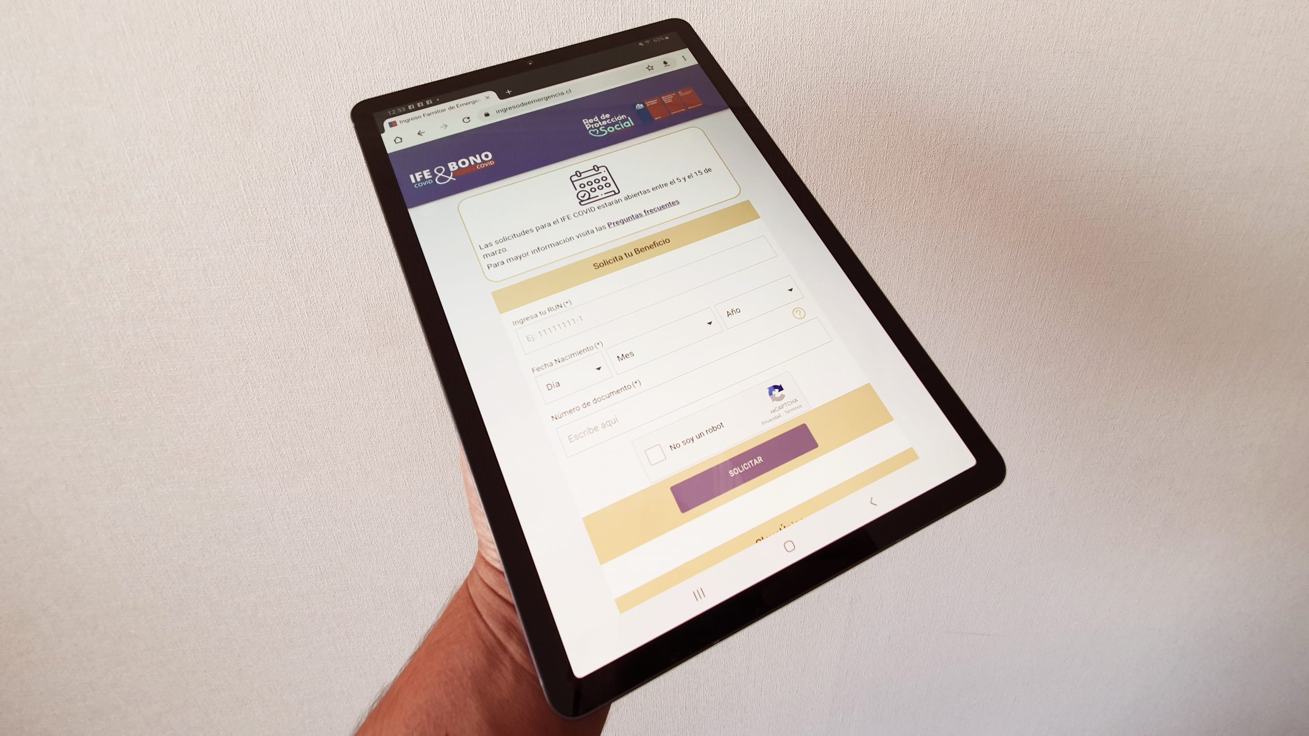 Este lunes vence el plazo para solicitar el IFE Covid en Iquique, Alto Hospicio, Pica, Huara y Pozo Almonte