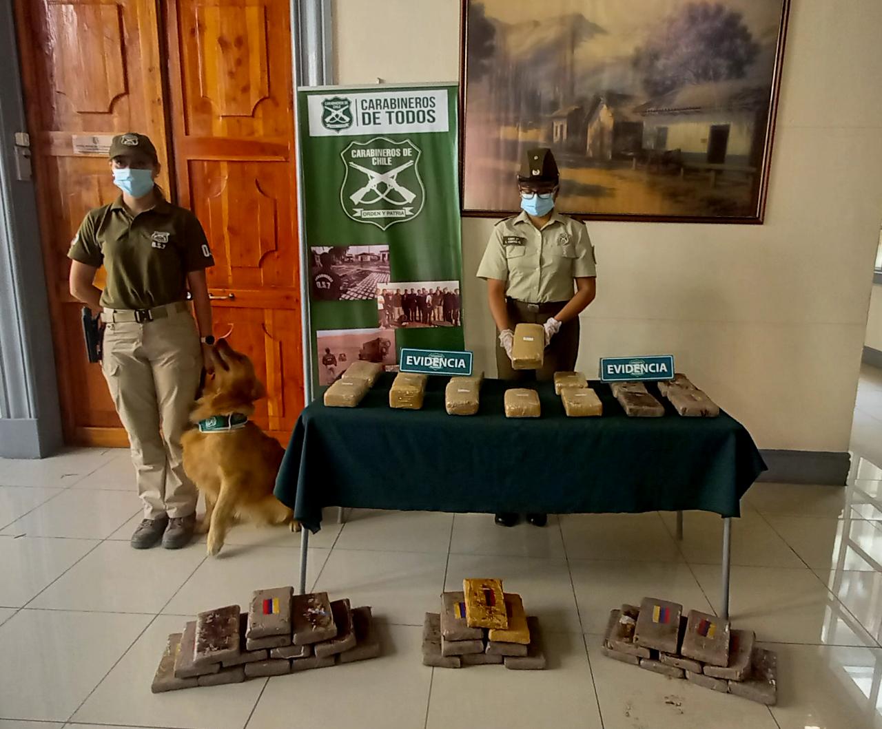 Miles de dosis de drogas y armas de fuego saca de circulación Carabineros en diversos procedimientos