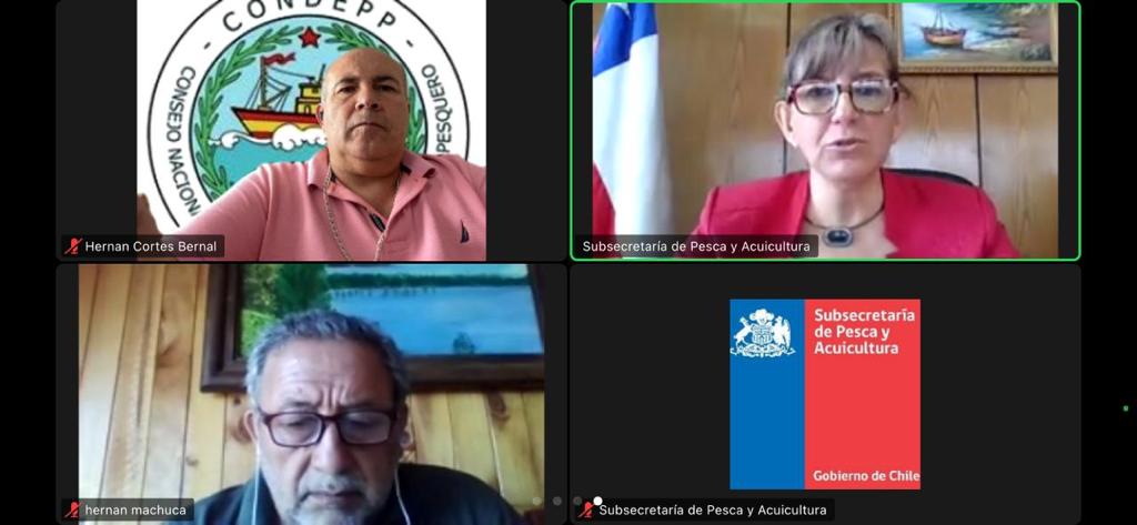 Pescadores manifiestan su «profunda decepción» a Subsecretaría de Pesca