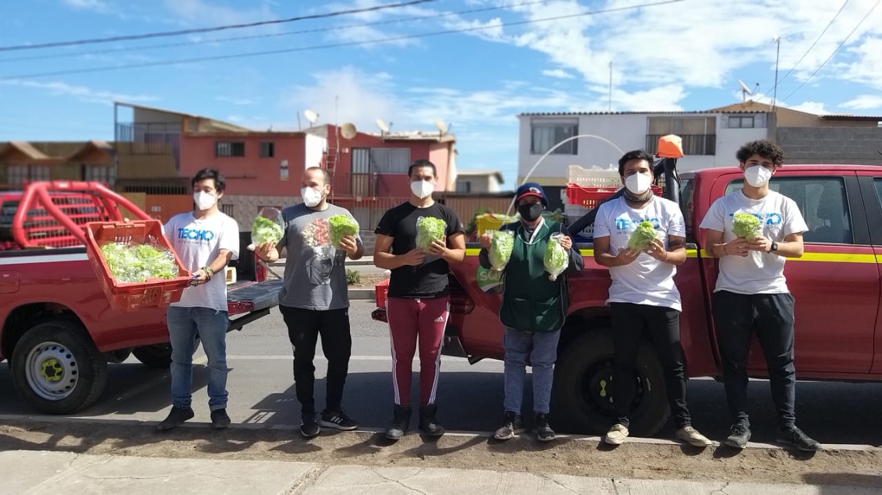 Invernaderos locales de SQM donaron 30 mil hortalizas a la comunidad