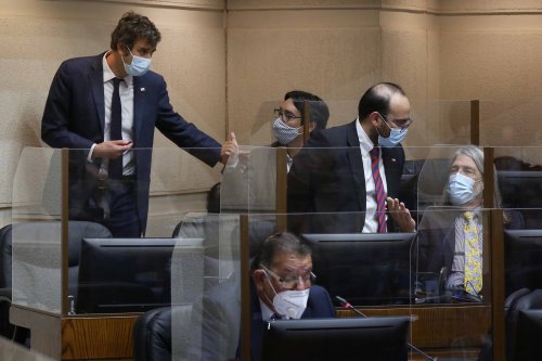Extensión de estado de excepción hasta el 30 de junio: por mayoría Senado ratifica oficio presidencial