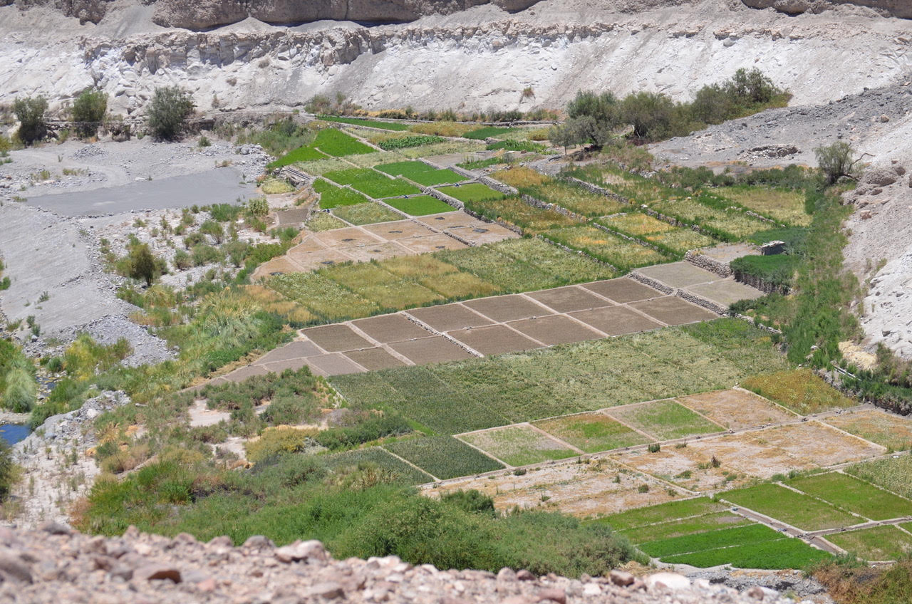 INDAP: Comenzó reconsideración de postulaciones a programa de recuperación de suelos en Tarapacá