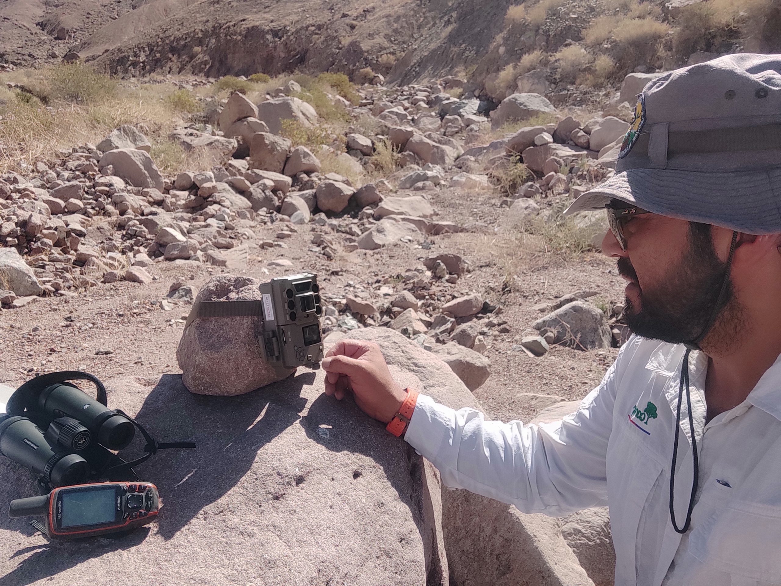 Monitoreo inédito por cámaras trampa inició CONAF en el Monumento Natural Quebrada de Cardones