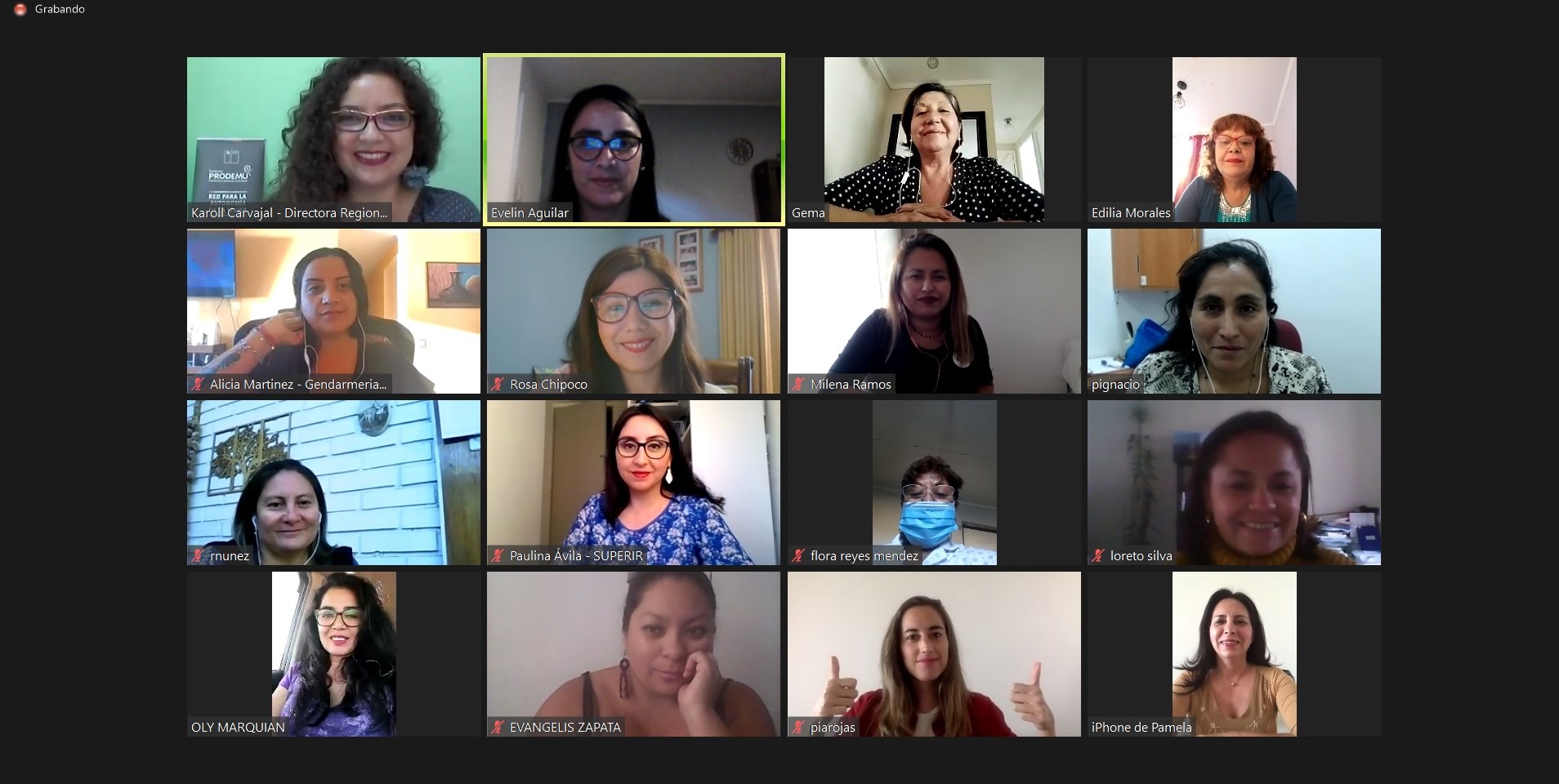 Informe de PRODEMU revela brechas de género que se acrecentaron durante la pandemia en Tarapacá