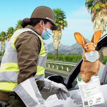 Carabineros otorga nuevamente un salvoconducto especial al Conejo de Pascua