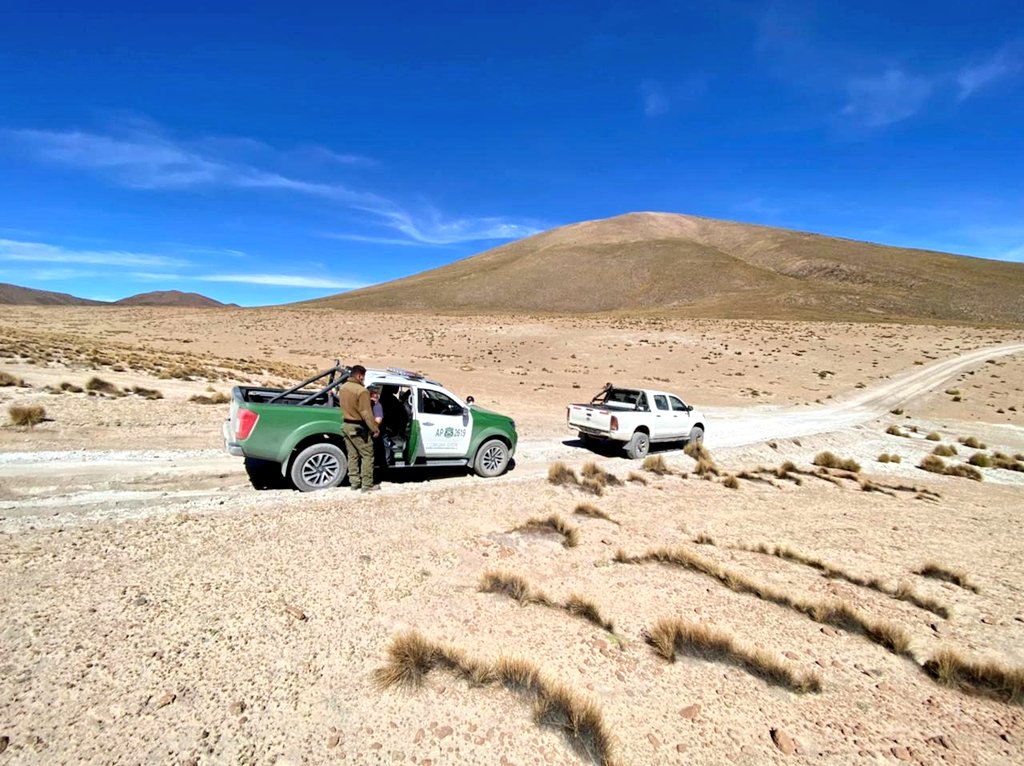 Carabineros recupera camioneta en Pampa Tres Cerritos