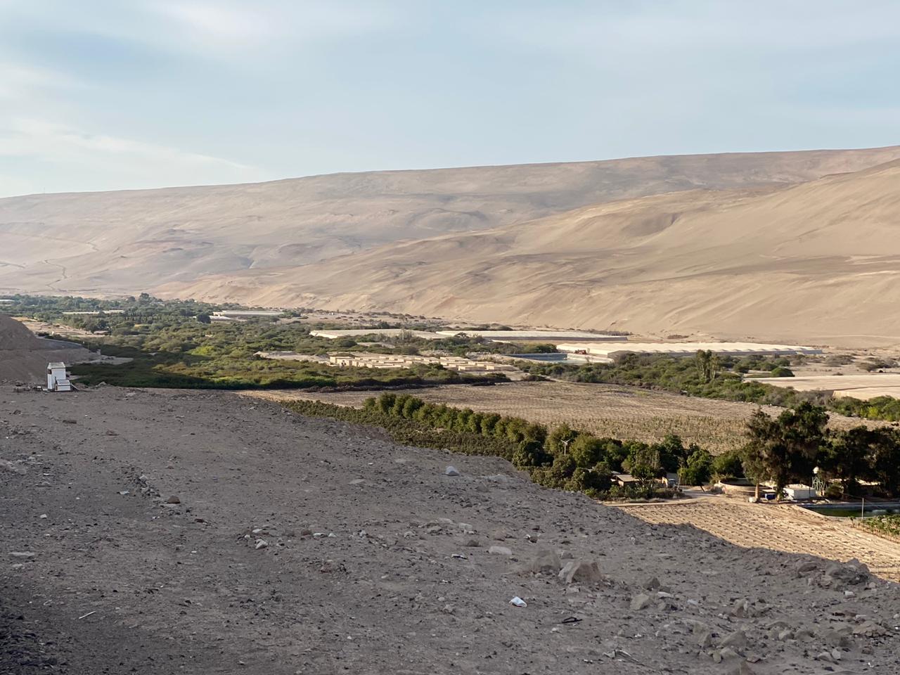 Comisión Nacional de Riego anuncia nuevo programa para el fortalecimiento de la JV de Vítor Codpa