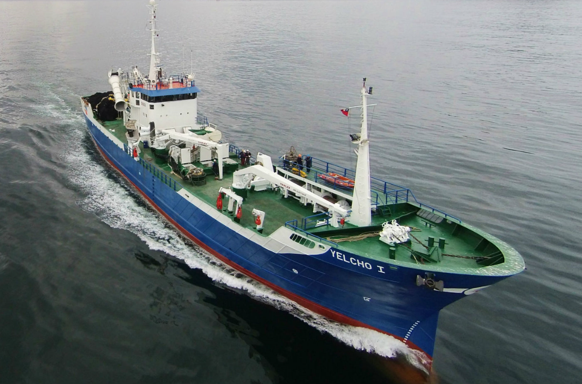 En primer trimestre de 2021: Exportaciones de pesca extractiva y acuicultura menor disminuyen un 4%