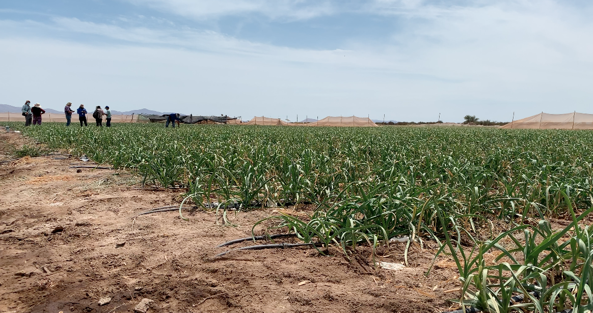 INDAP Tarapacá implementa registro digital de asesoría en terreno