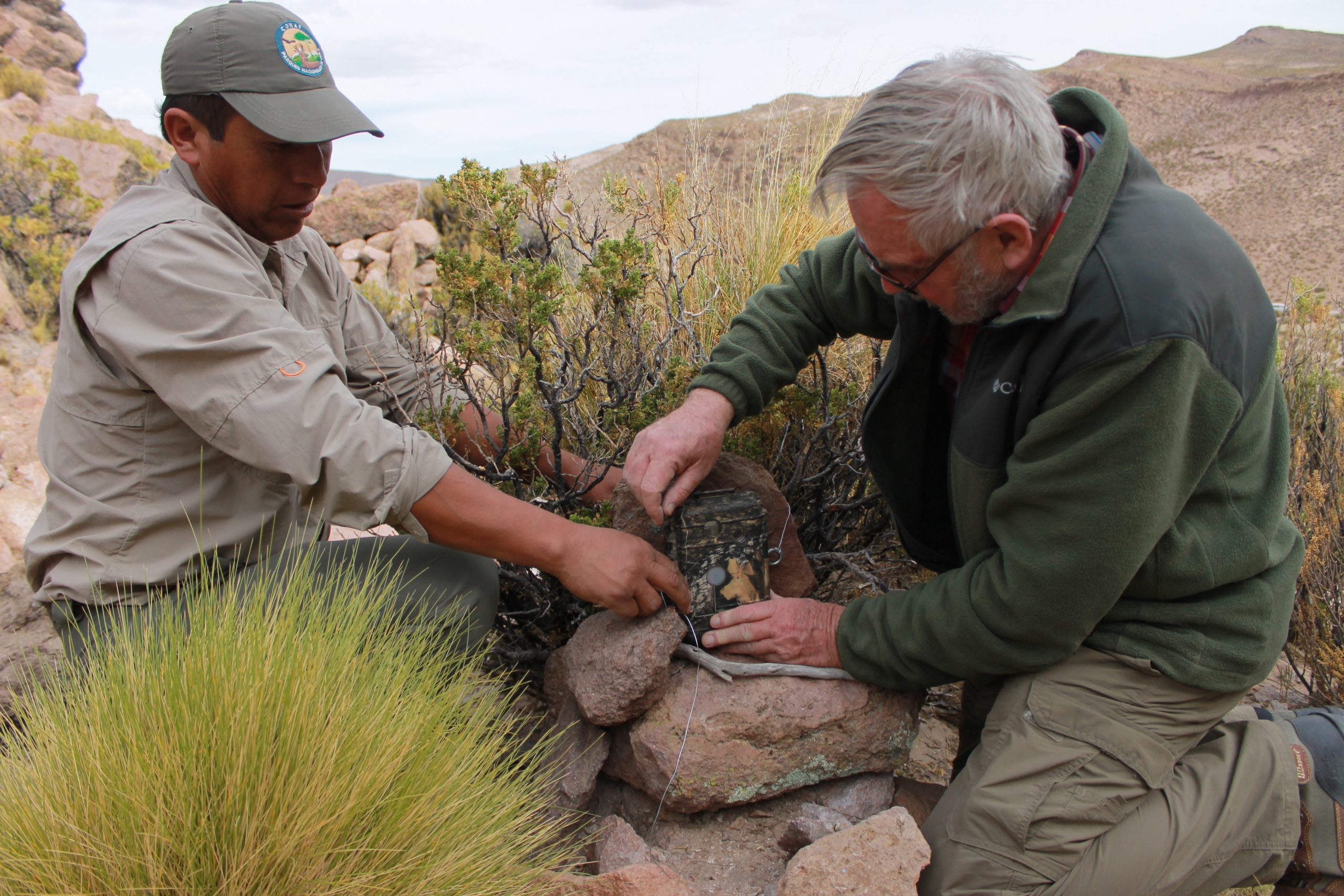 CONAF Tarapacá dictará seminario virtual sobre compromisos ambientales y conservación