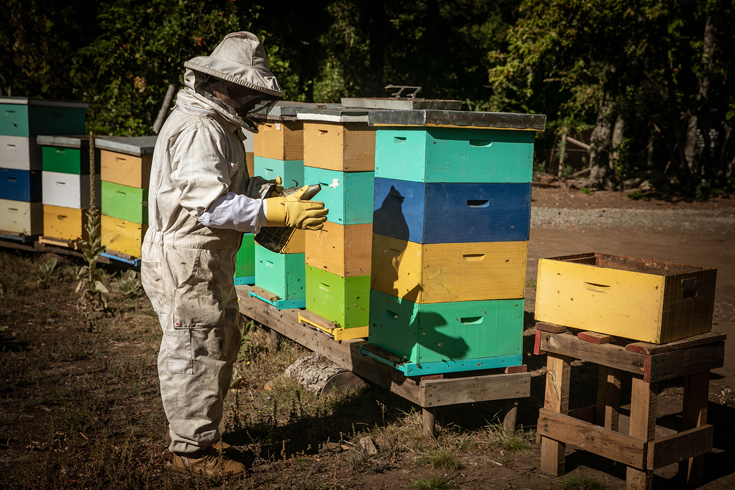 Fondo Común busca apoyar proyectos colaborativos y comunitarios