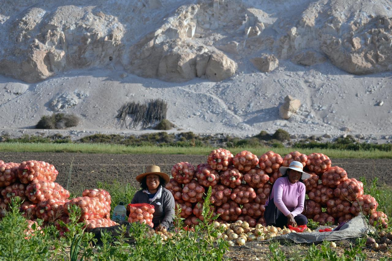 Invitan a mujeres agricultoras y de pueblos originarios a postular al primer Concurso Nacional de Riego y Eficiencia Hídrica