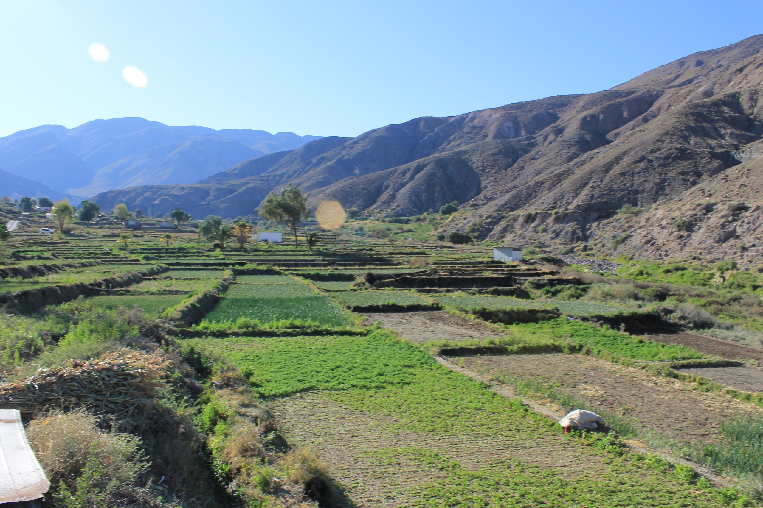 Seminario online “Jakaña: Percepciones de desarrollo y estrategias del Tarapacá rural”