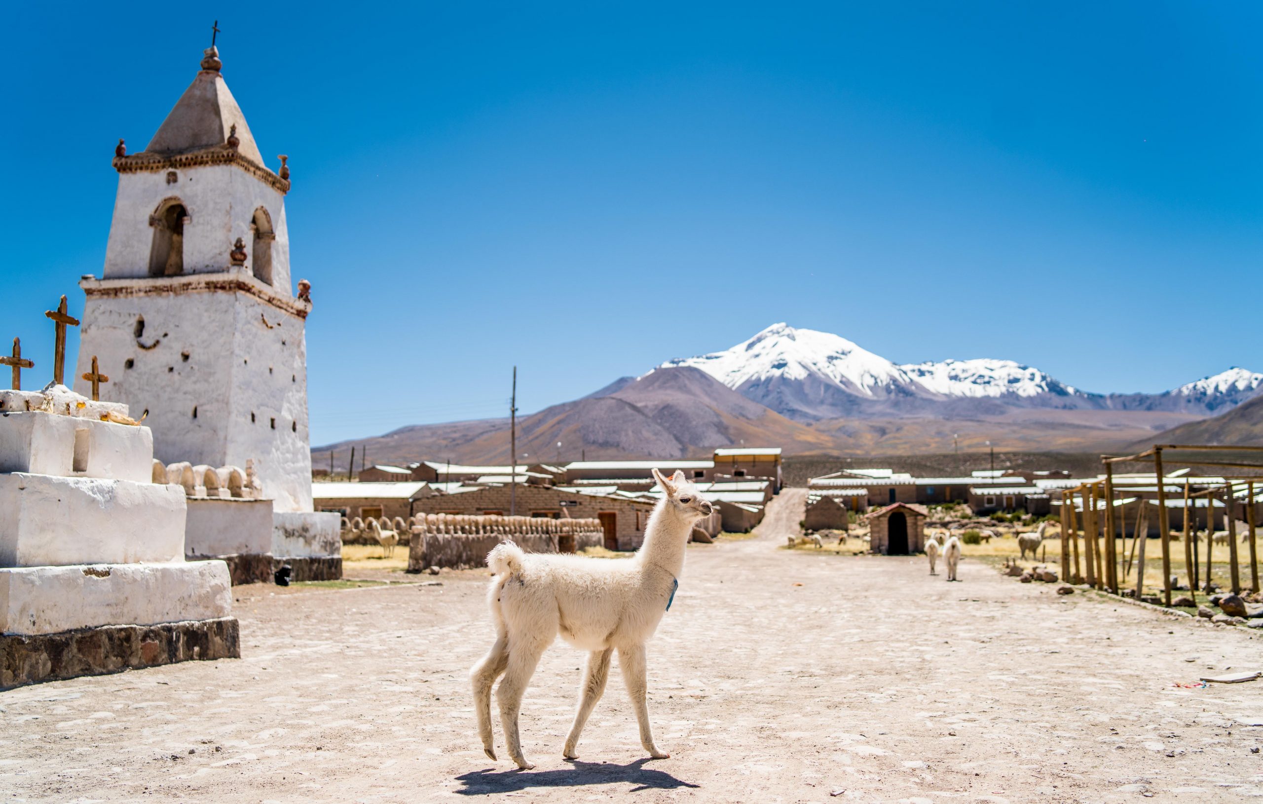 Chile Virtual Expo Tourism: la primera feria digital multimercado para reactivar el turismo