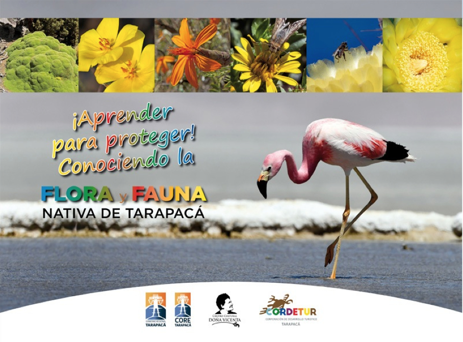 Centro Cultural Doña Vicenta inaugura exposición de Flora y Fauna Nativa en colegios de Iquique