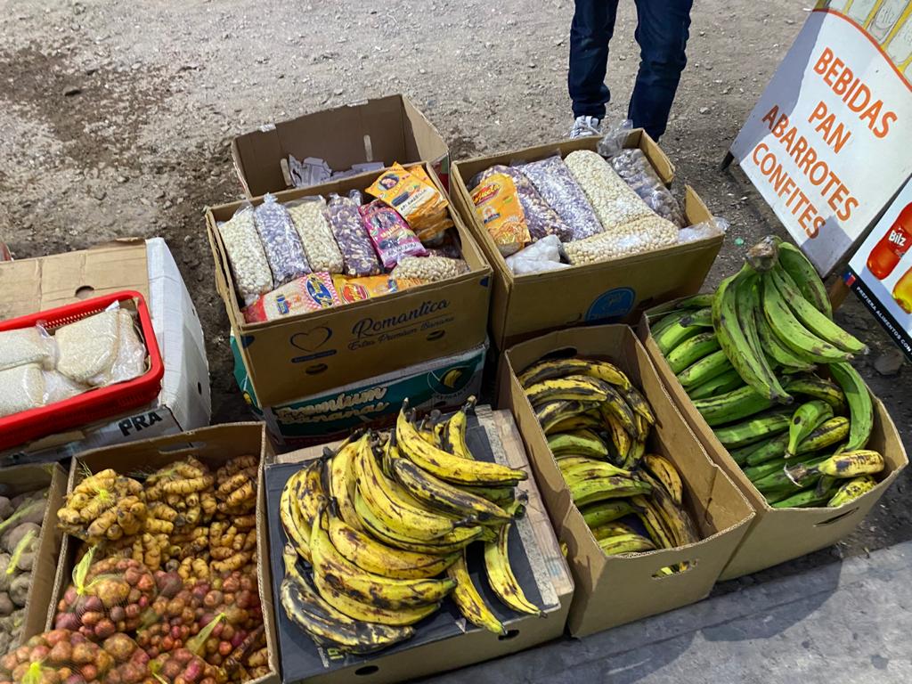 SAG Tarapacá intensifica fiscalización y decomisa 2 mil 500 kilos de productos agropecuarios