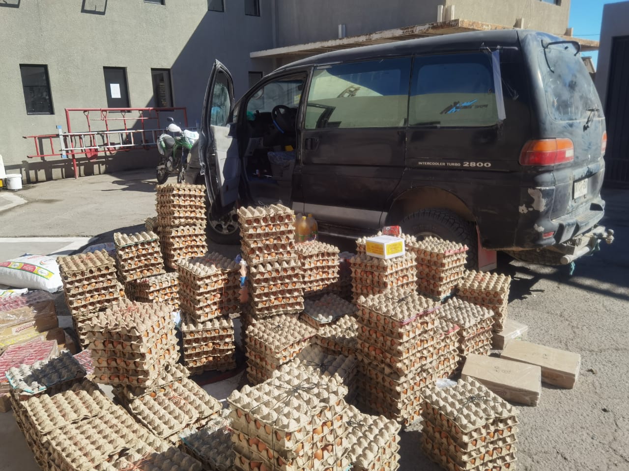 SAG en alerta: Decomisan 9 mil unidades de huevos de gallina