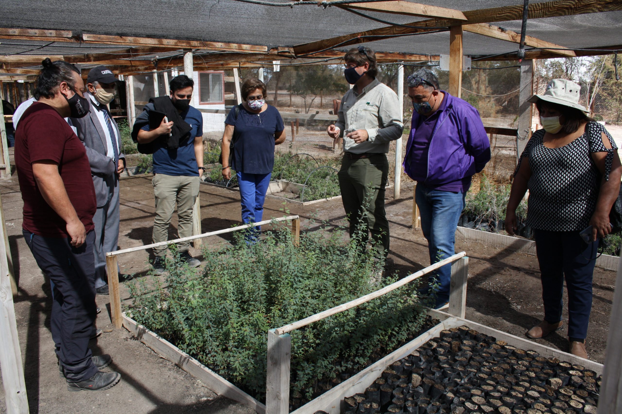 Cores de Tarapacá visitaron CEDEAM, Vivero y áreas de manejo forestal de CONAF