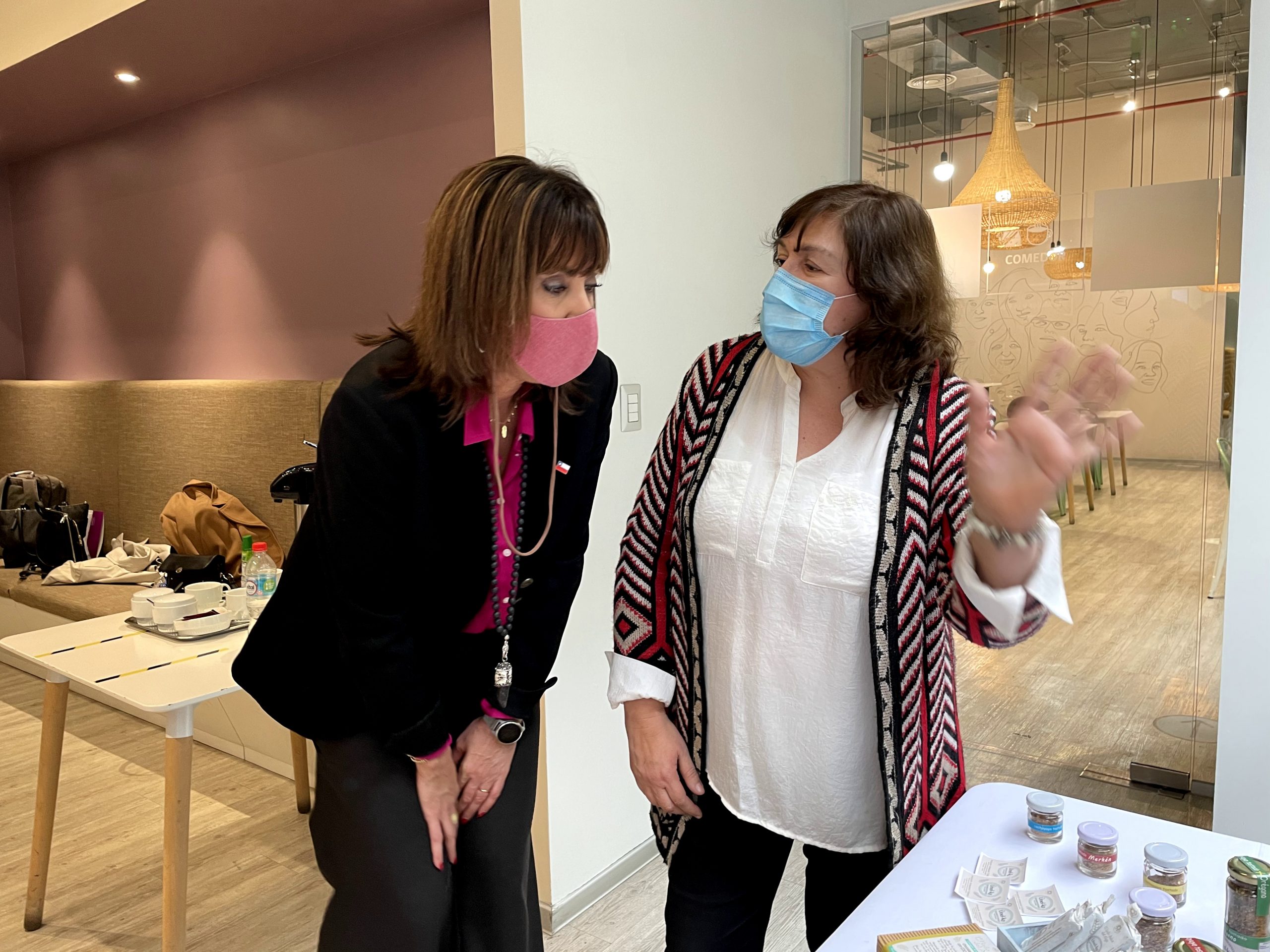 Ministra Zalaquett, SernamEG y Simón de Cirene lanzan la Escuela Mujer Emprende 2021