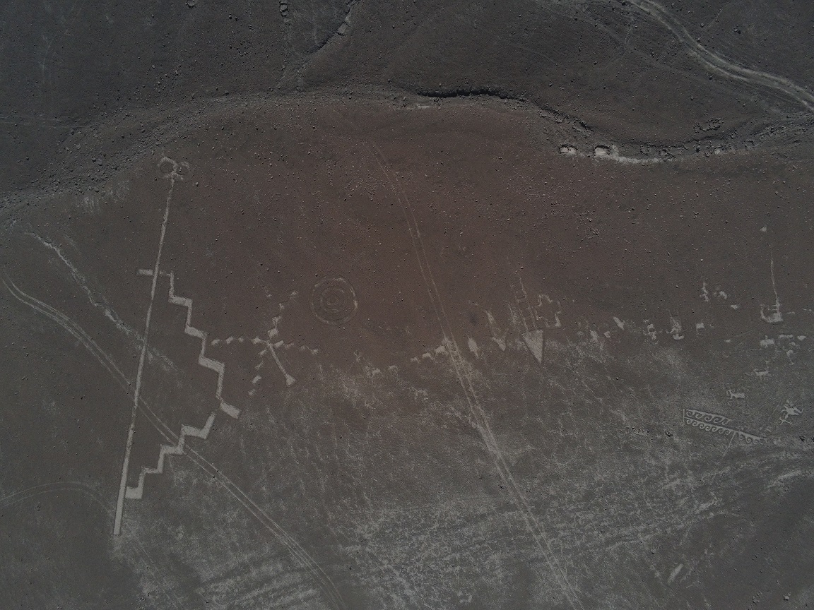 Seremi de Bienes Nacionales de Tarapacá compromete medidas de protección para las líneas de Ariquilda