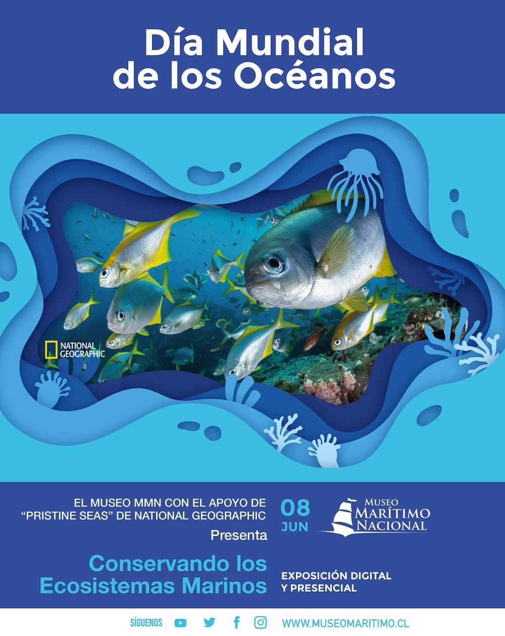 Museo Marítimo Nacional celebra el Día Mundial de los Océanos