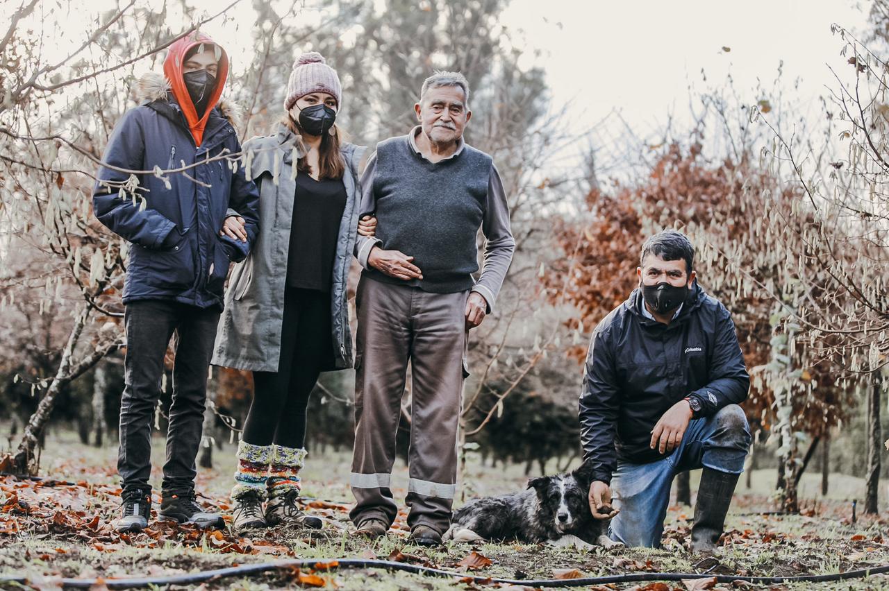 Comienza consolidación de la trufa tras 12 años de producción nacional