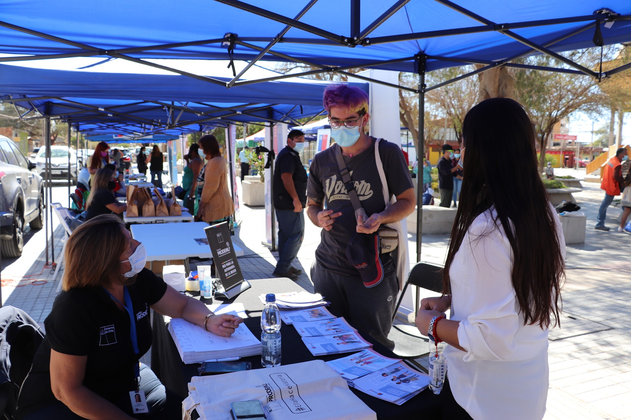Gobernación del Tamarugal realizó Gobierno en Terreno en Pozo Almonte