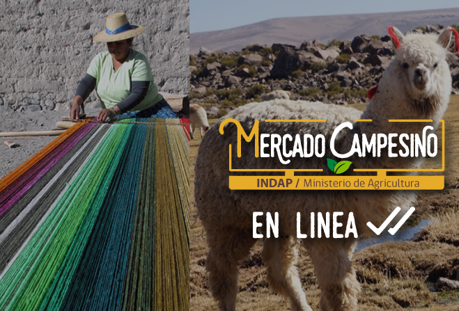 Mañana segunda versión en línea de mercado campesino textil de INDAP Tarapacá